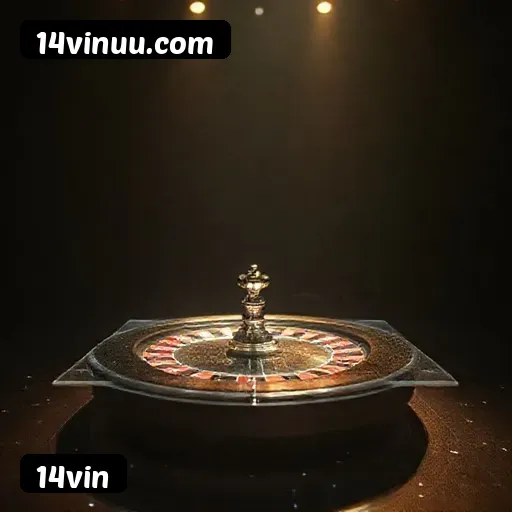 Termos e Condições Transparentes 14vin